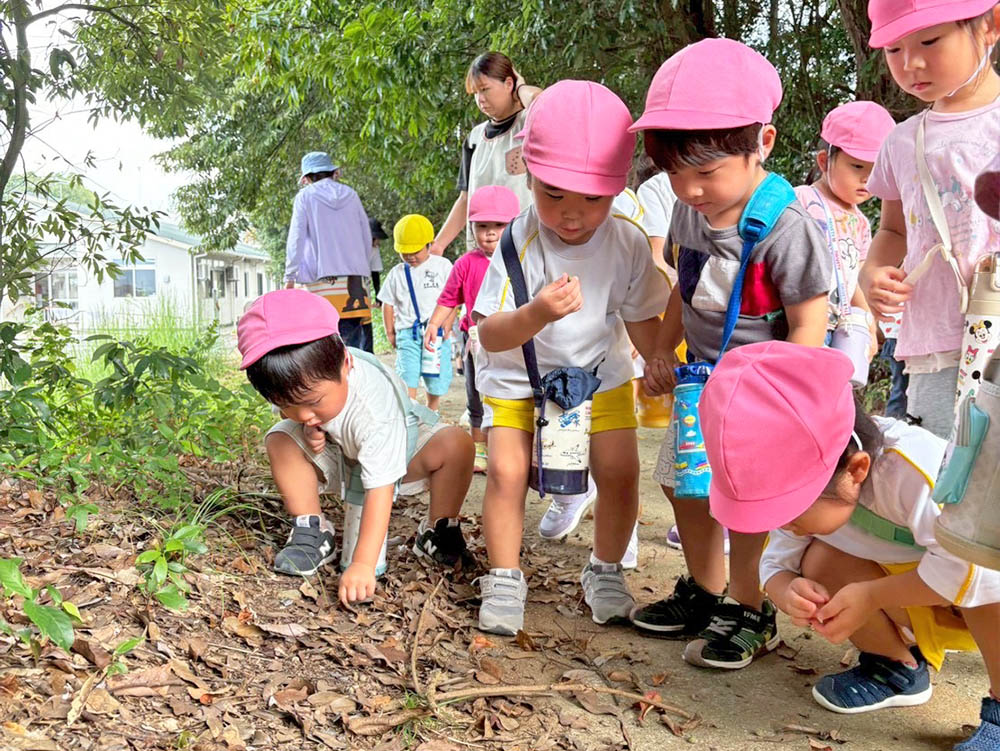 園について画像